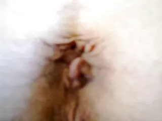 Olgun Ateşli Carolyn Mücevher Eski Bir Adam Tarafından Sürülmüş porno film türk Onu Kedi Alır